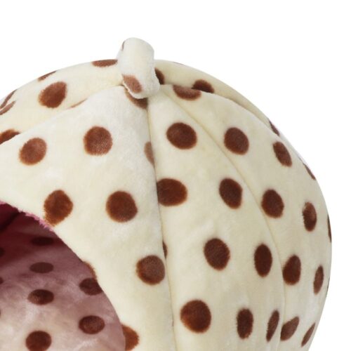 pet bag