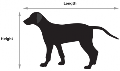 measure dog zize