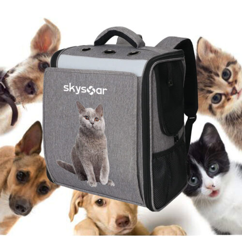Pet Backpack